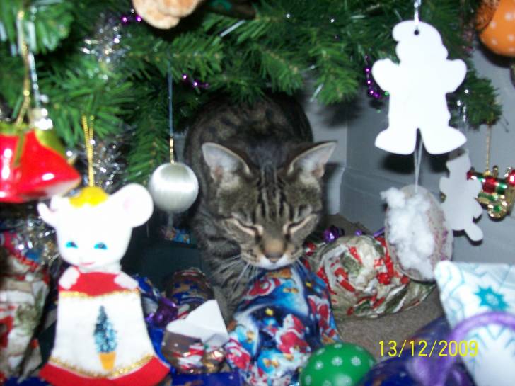 Milly - (6 ans)