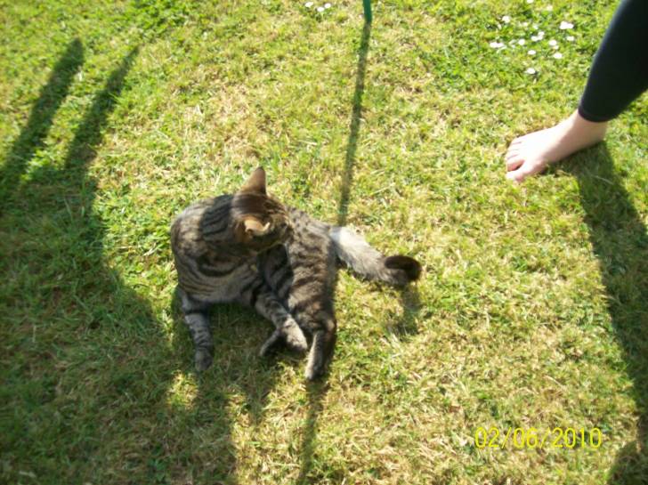 Milly - (6 ans)