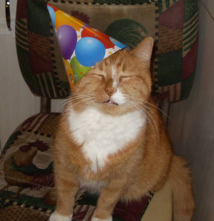 Oliver - Mâle (12 ans)