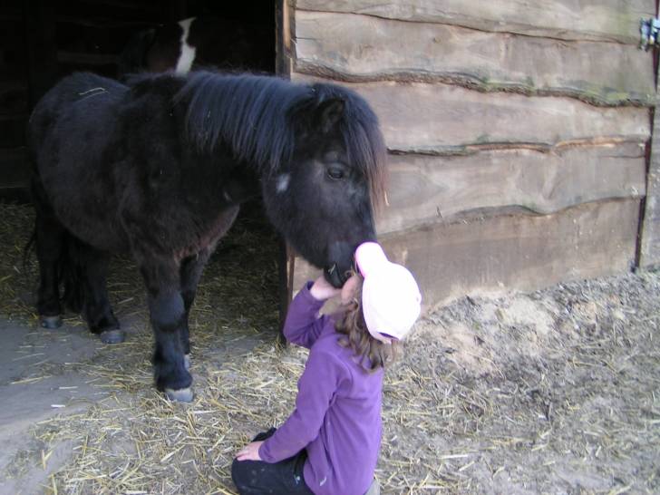 Kinder - Mâle (4 ans)