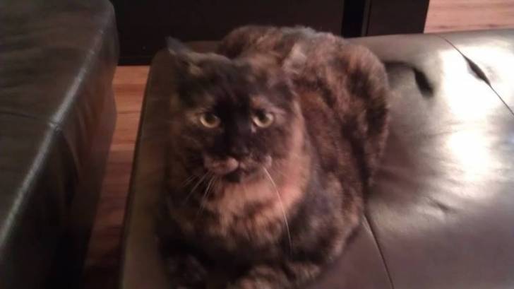 MOLLY - (2 ans)