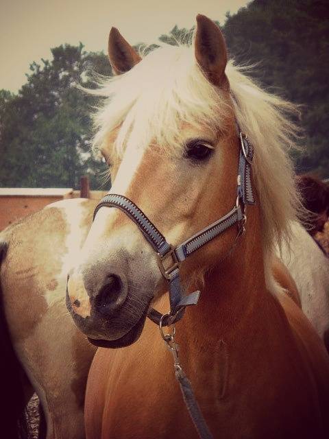 Amina - (4 ans)