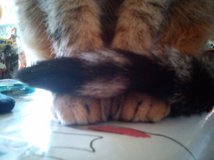 Dora, pour pas attraper froid ??? - (12 ans)