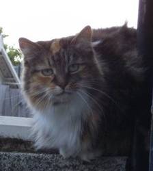 Trinity - (9 ans)