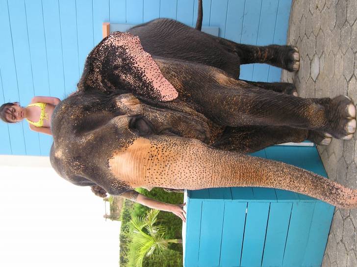 Heidi - (4 ans)