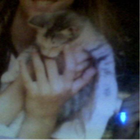 Hollyfur - (6 ans)