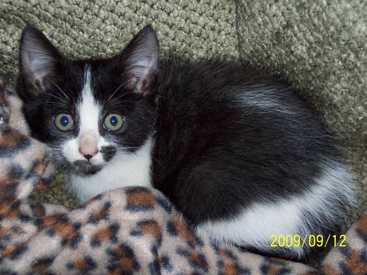 Princess - (1 mois)