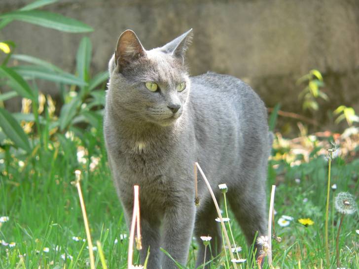 Tagada - (4 ans)