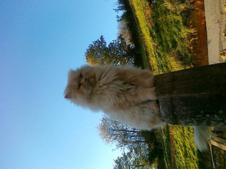 Kiti - (2 ans)