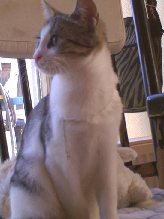Micha - (10 mois)