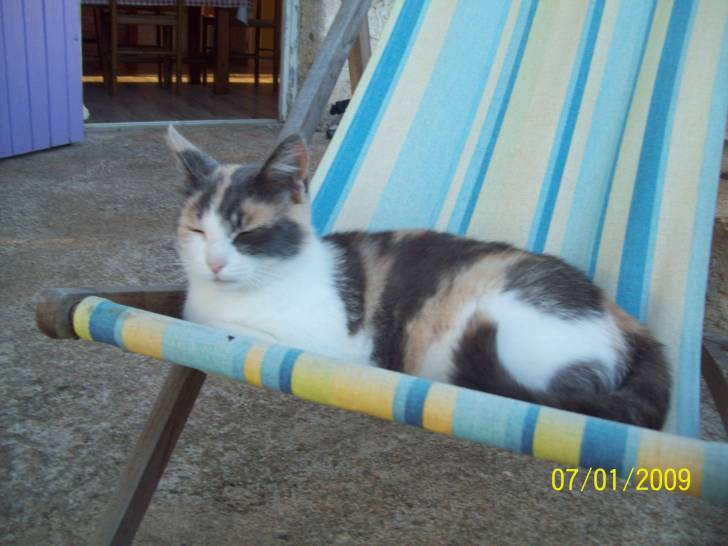 Miss Teigne (comme son nom lindique) - (5 ans)