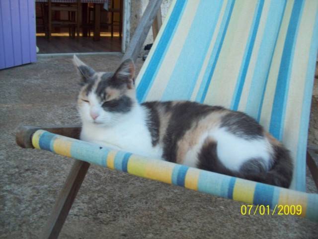 dyxie - (9 ans)