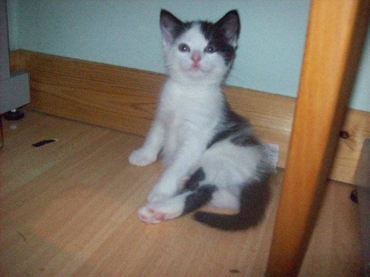Princess - (2 mois)