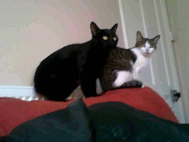 louis and thama - (2 ans)