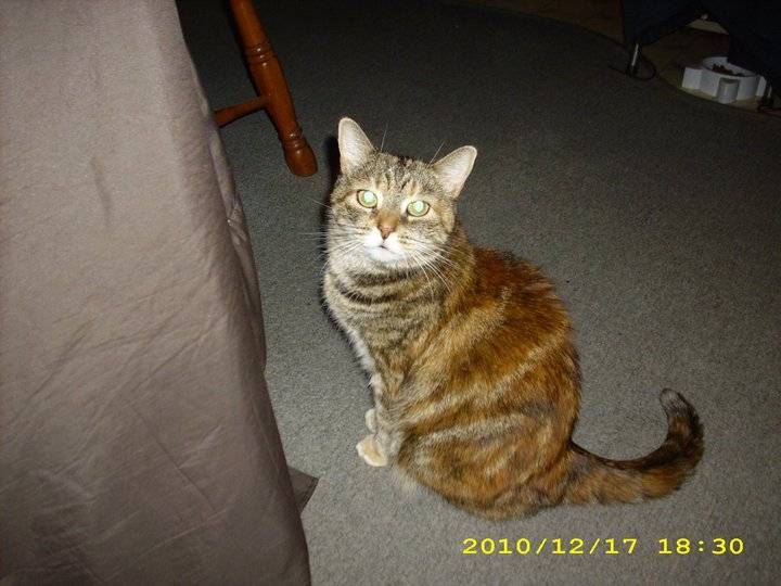 Sasha - (14 ans)
