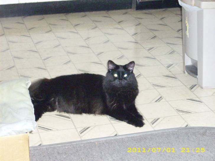 Peluche - (2 ans)