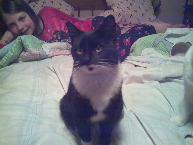 Stormy - (3 ans)
