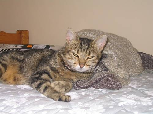 Toulouse - (7 ans)