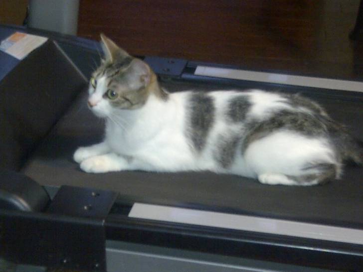 Daisy - (3 ans)