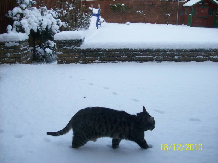 Milly - (5 ans)