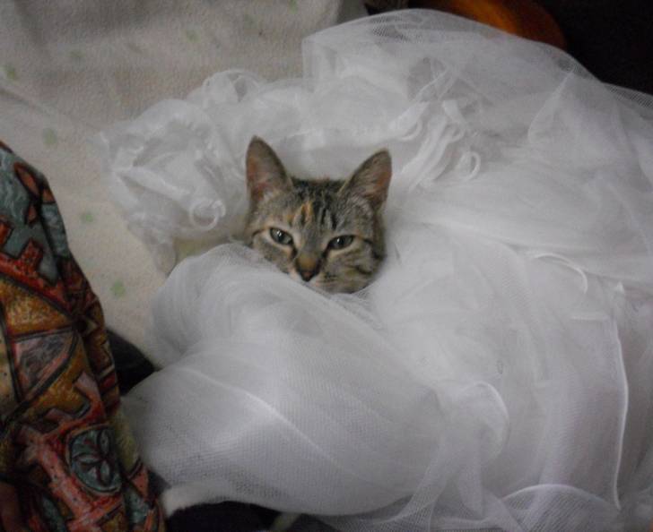 Flor - (11 mois)