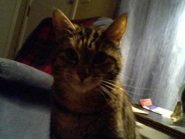 Suzie Q - (6 ans)