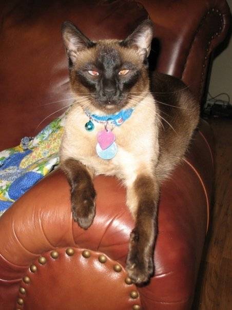 Ruby - (5 ans)