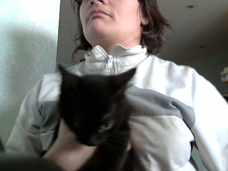 Gizmo - Mâle (6 mois)