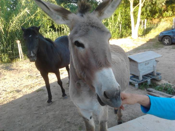 eole et pounette -