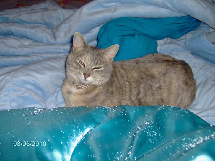 Smokey -
