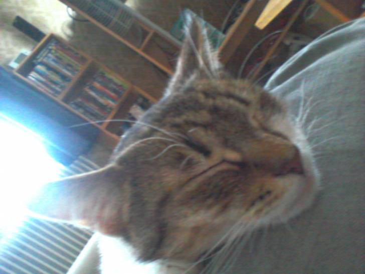 Memphis - (3 ans)
