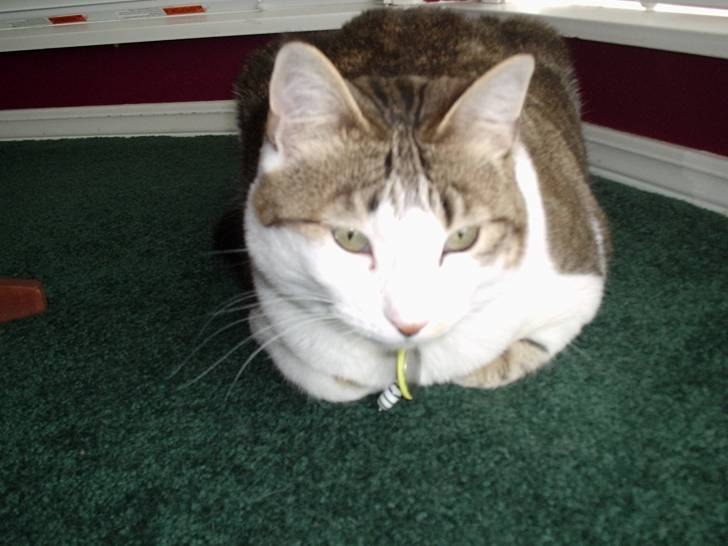 Abby -