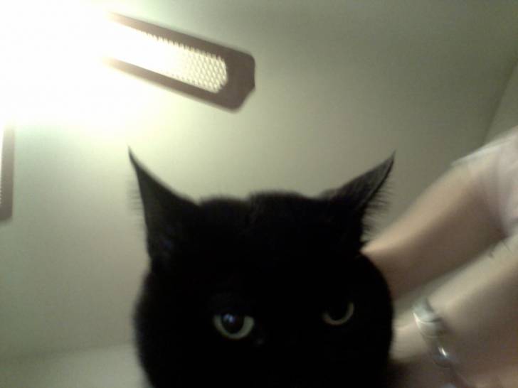 BooBoo - (6 ans)