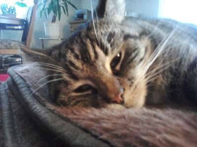 Sally - (2 mois)