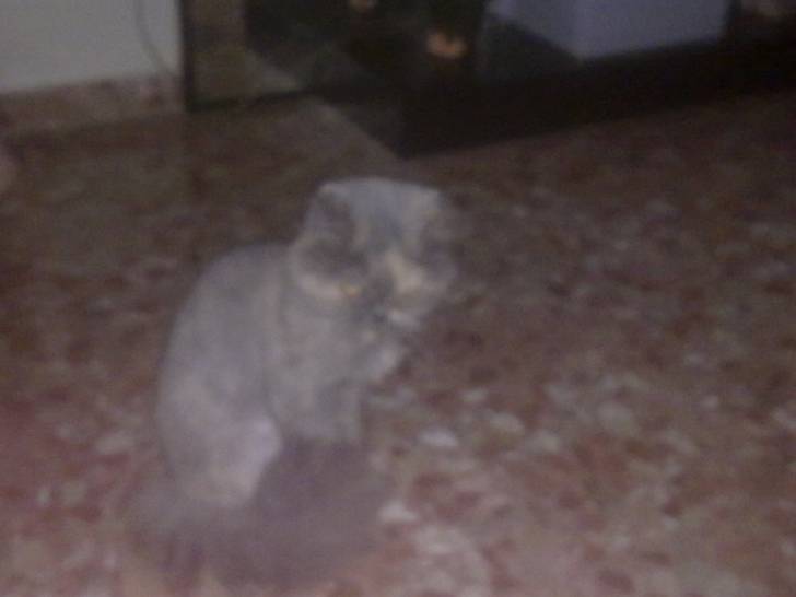 Irma - (8 ans)