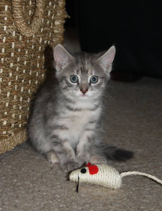 Flo - (2 ans)