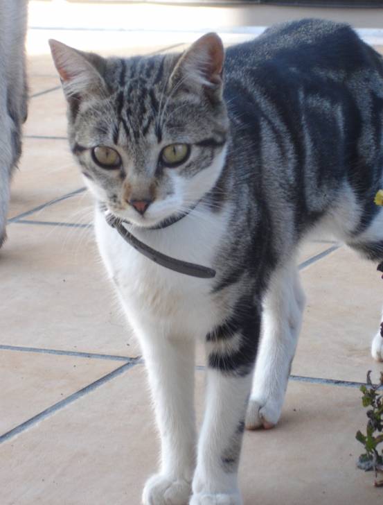 Bianca - (10 mois)