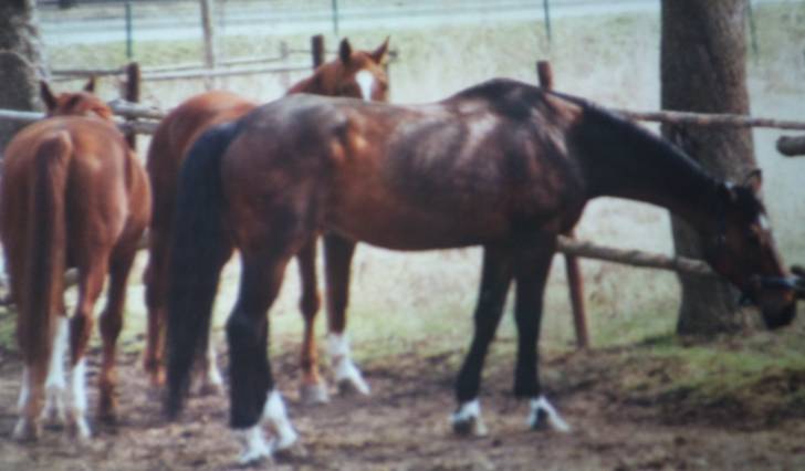 Ostia - (12 ans)