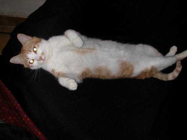 photos fin 2009 014.jpg -