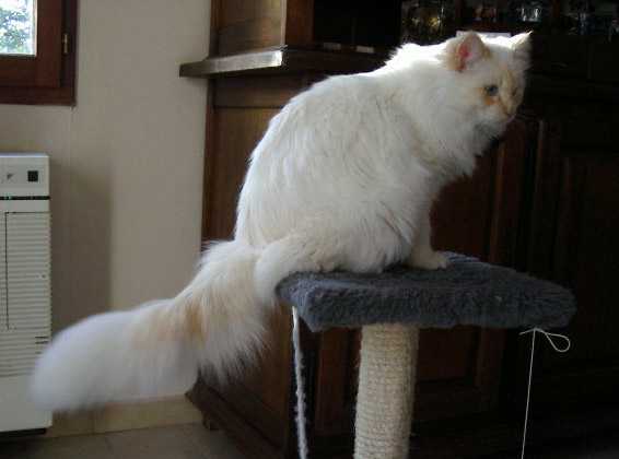 Mon perchoir pr?f?r -