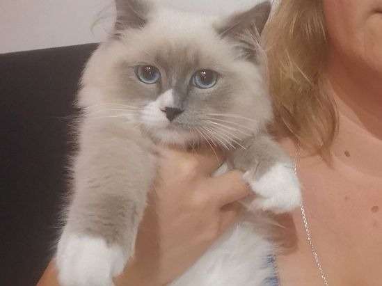 chat sexe saint laurent du var