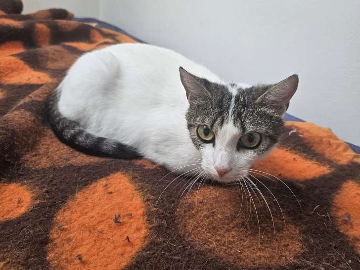 Amy, (réservée)