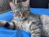 Gisèle