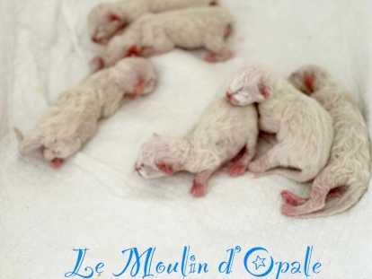 Nos 6 Merveilles