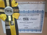 Lui arive champion