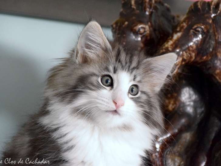 une bouille à croquer