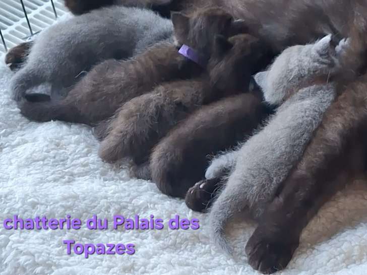 la portée complète