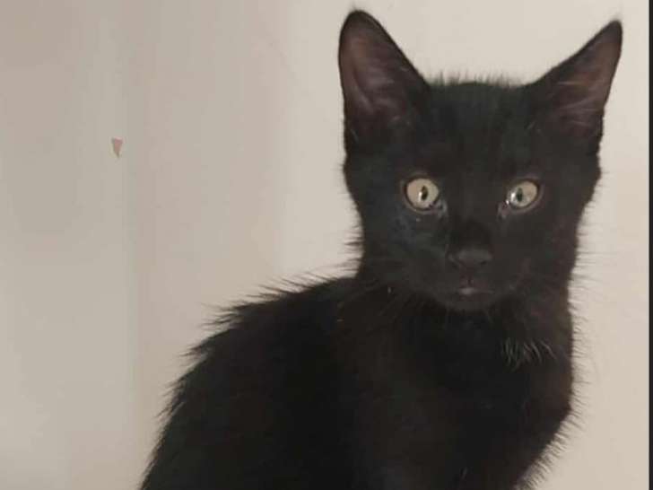 La belle Azylis attend sa famille !
