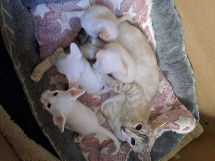 La portée complète