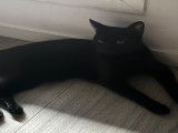 Maki (1 ans )